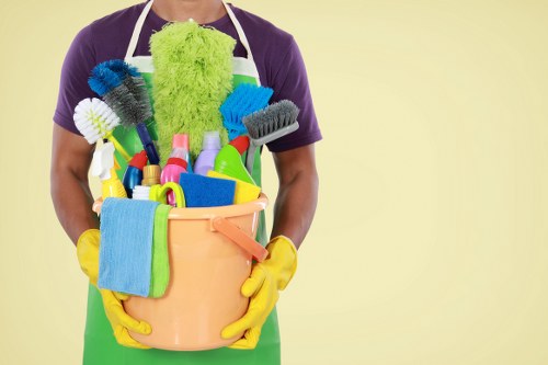 Cleaner in Finsburypark for domestic cleaning services