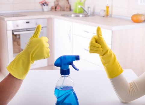Carpet cleaning service in a Finsbury Park home