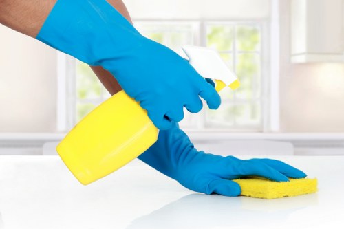 Local cleaning team providing domestic cleaning in Finsbury Park
