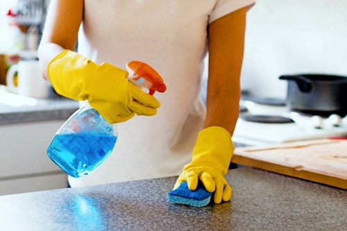 Legal terms and governing law for carpet cleaning services