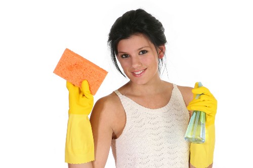 Image showing supplier compliance and audit review for carpet cleaners