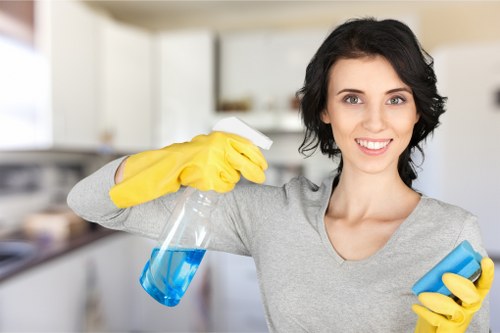 Deep carpet cleaning equipment in a Finsbury Park home