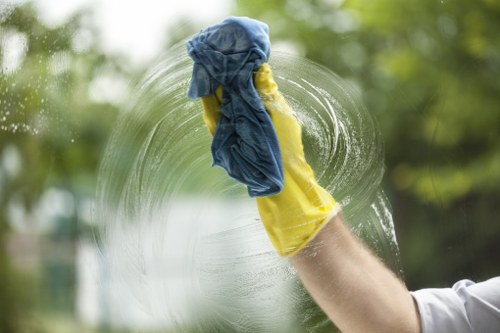 Streak-free glass after professional Finsbury Park window cleaning