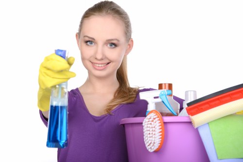 Stain removal and odour treatment for rugs in Finsburypark