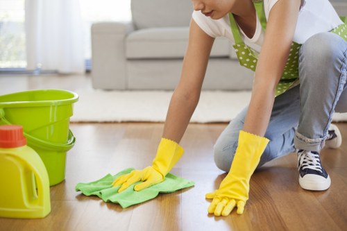 Regular home cleaning service for Finsburypark residents